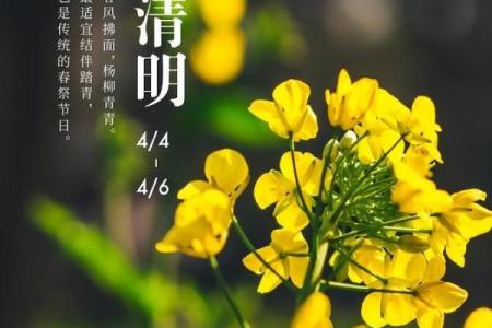 清明节是传统的重大春祭节日