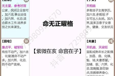 紫薇斗数体用宫