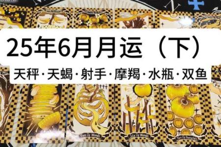 6月塔罗牌复合星座运势