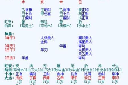 一分钟看懂八字排盘,八字排盘出来怎么解读