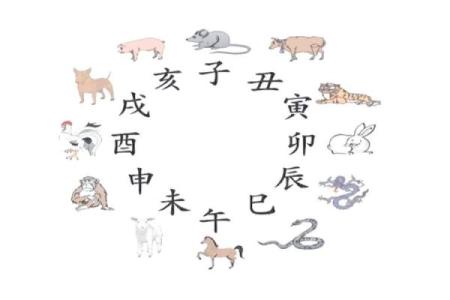 78马和72鼠结婚吉日 78年的马和72年的鼠结婚后如何？