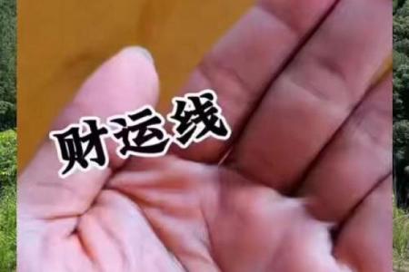 财运线是哪一条？财运线算命图解