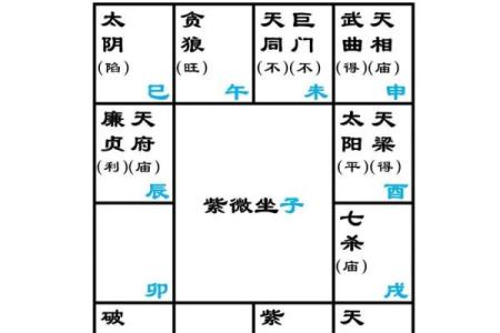 怎么查自己的紫薇星座