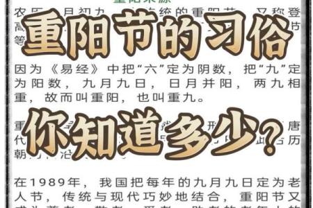 重阳节是什么节日什么意思 重阳节是什么节日纪念谁