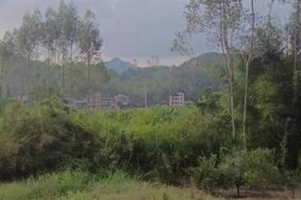 有风水吗_富贵之人住所是否是风水宝地呢