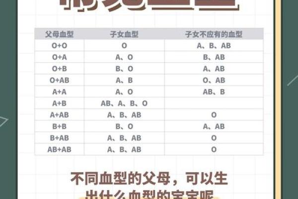 父母孩子血型对照表