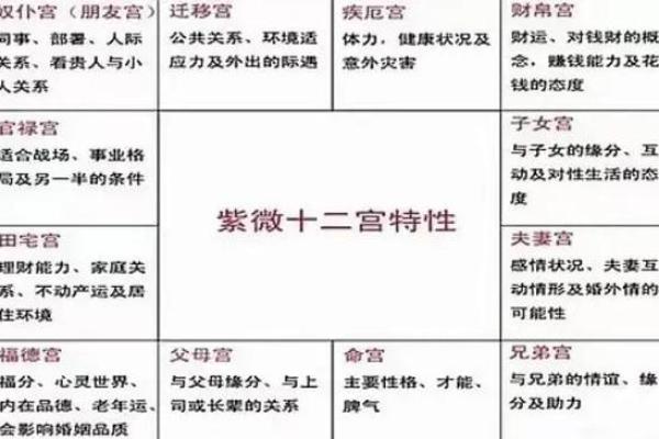 紫微斗数紫薇性格