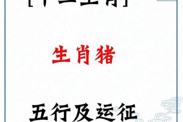 属猪算命,属猪人运程