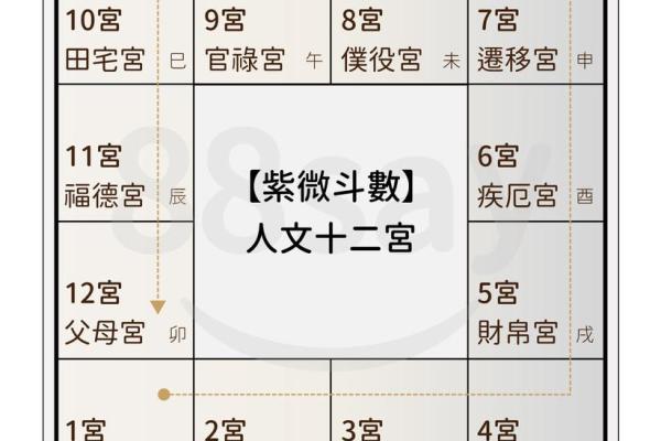 紫薇斗数中年龄