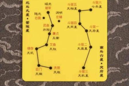 紫微斗数诸星落诸宫之：天梁星子女宫详解