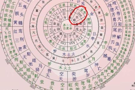 紫薇斗数基础盘