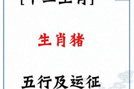 属猪算命,属猪人运程