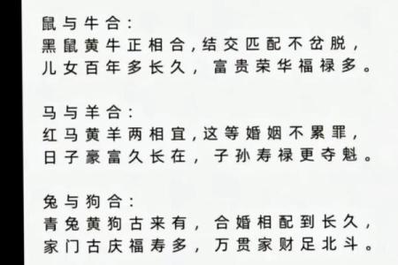 十二属相生肖配对姻缘查询