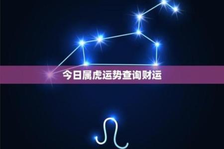 生肖虎明日运势查询星座网