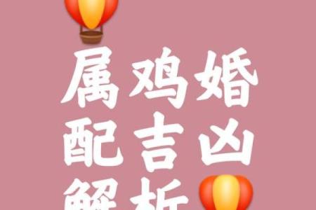 属鸡的和什么星座结婚最合适呢