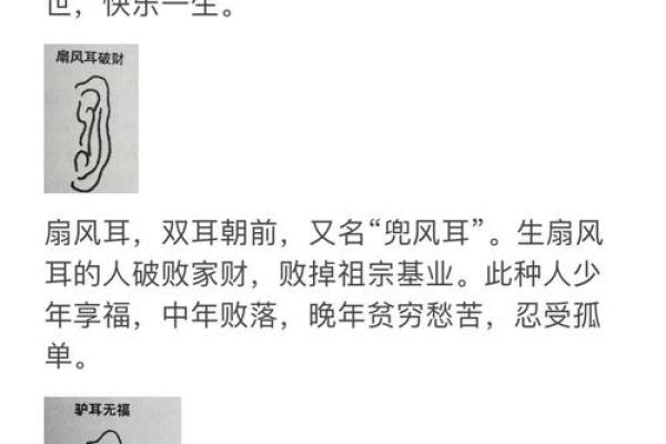 风水面相耳朵耳垂大是不是很有福气