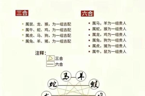 八字是什么肖