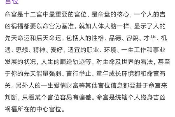 最准紫薇斗数app