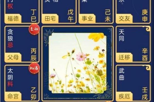 紫薇斗数原盘