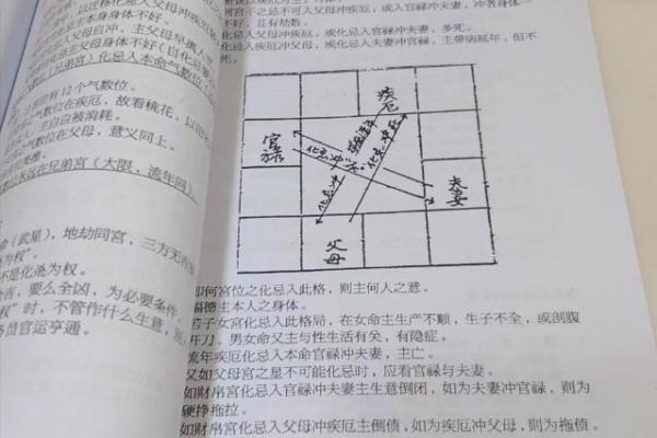 紫薇斗数原盘