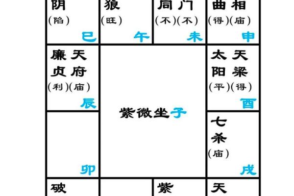紫薇斗数音频教学
