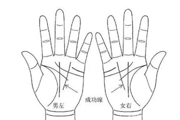 算命是用左手还是右手好