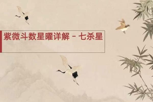 紫薇斗数紫薇七杀在亥