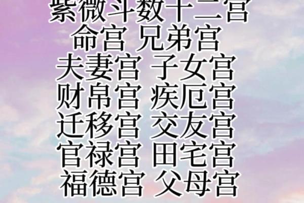紫薇斗数紫薇七杀在亥