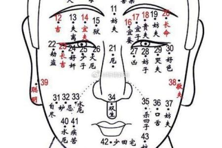 痣相算命，脸部痣相算命口诀
