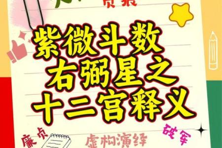 紫薇斗数音频教学