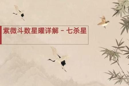 紫薇斗数紫薇七杀在亥