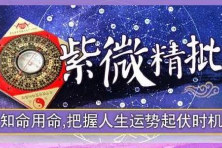 紫薇星耀的寓意