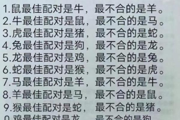 生肖和血型完美匹配你是哪种组合