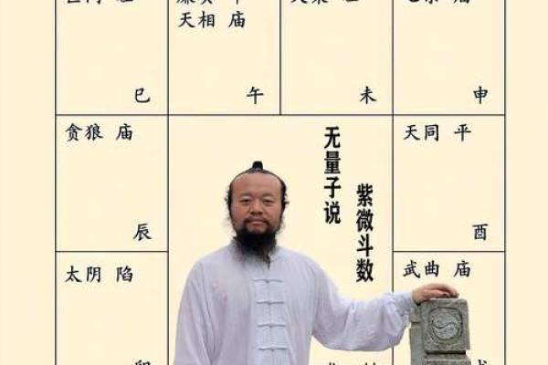 国内紫薇斗数大师