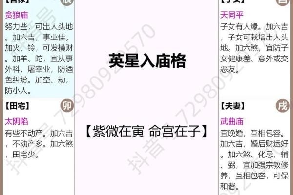 紫微斗数变易 紫微斗数爆发格局？