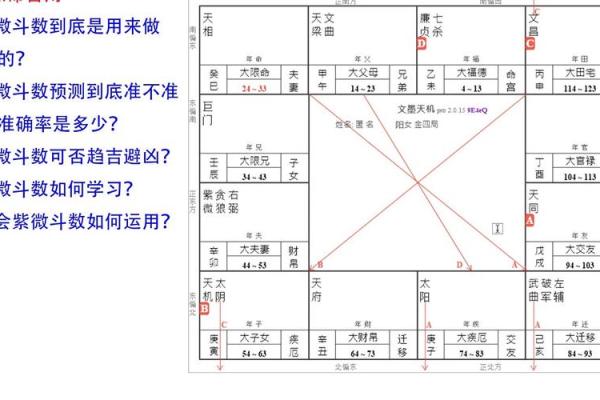孔子紫薇斗数