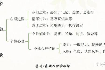 心理学与算命详解书
