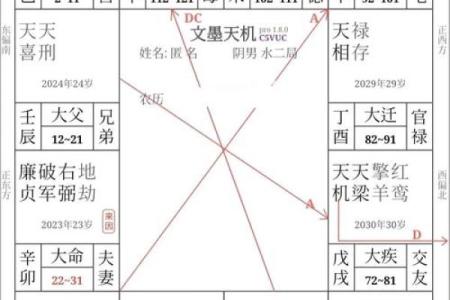 紫微斗数之财帛宫与诸星，廉贞星在财帛宫是什么意思？
