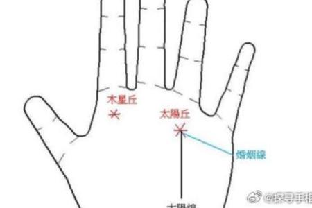 凯帝阿手相算命图解大全04