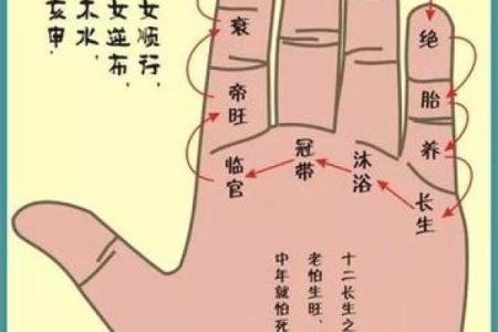 手纹算命图解【高清】