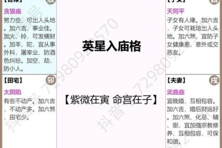 紫微斗数变易 紫微斗数爆发格局？