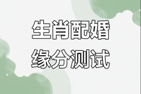 属羊双子座B型血男女性格分析和配对