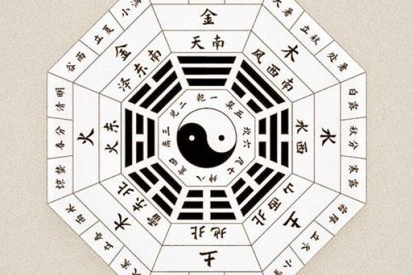 中华预测八字