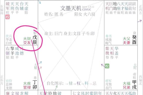 紫薇斗数博士入财帛