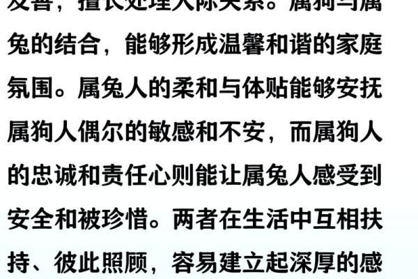 狗的属相配对婚配表
