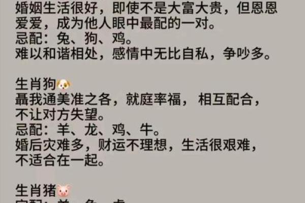 狗的属相配对婚配表