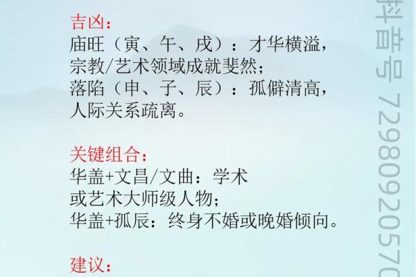 紫薇斗数入门到精通
