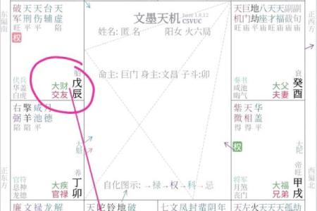 紫薇斗数博士入财帛