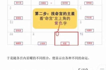 紫微斗数实战 紫微斗数实战案例？