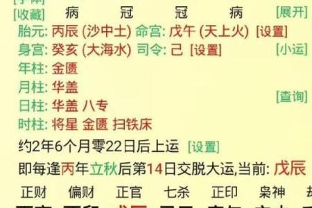 八字申酉辰